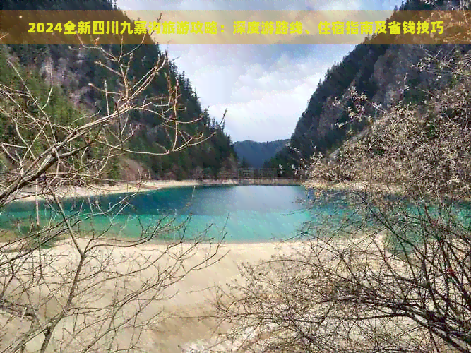 2024全新四川九寨沟旅游攻略：深度游路线、住宿指南及省钱技巧