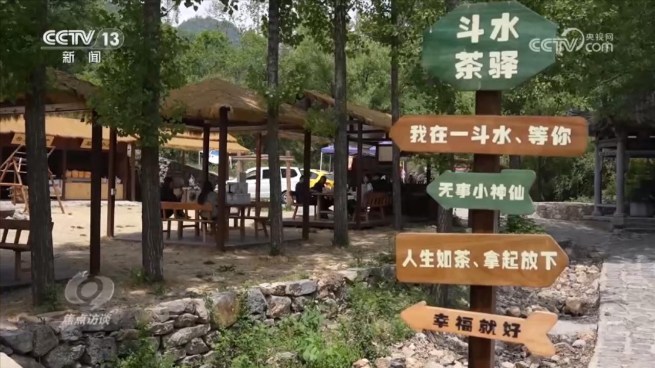 焦点访谈｜激活乡村振兴的“一池春水”焦作交出“景美、业兴、民富”新答卷(图7)