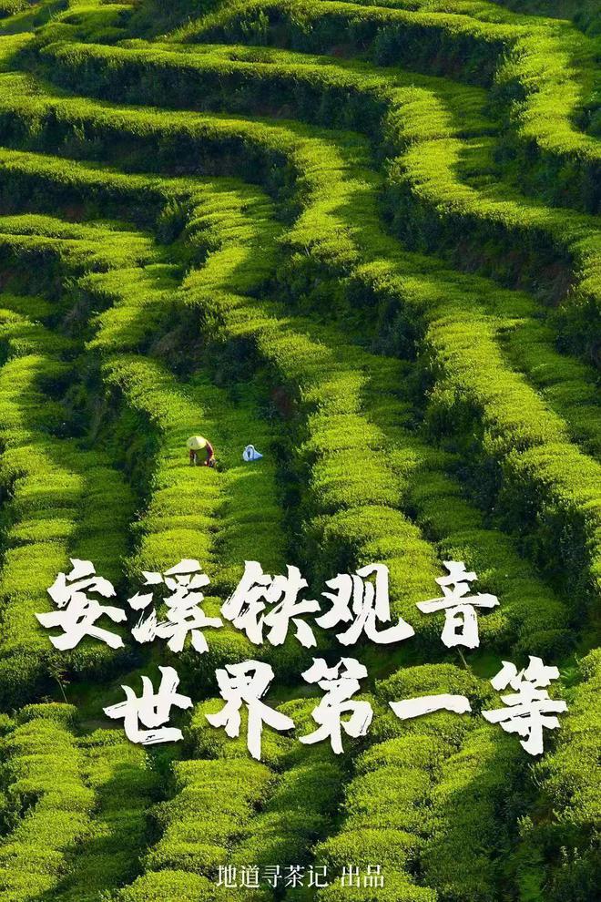 2024年中国哪些地方最值得去？(图5)