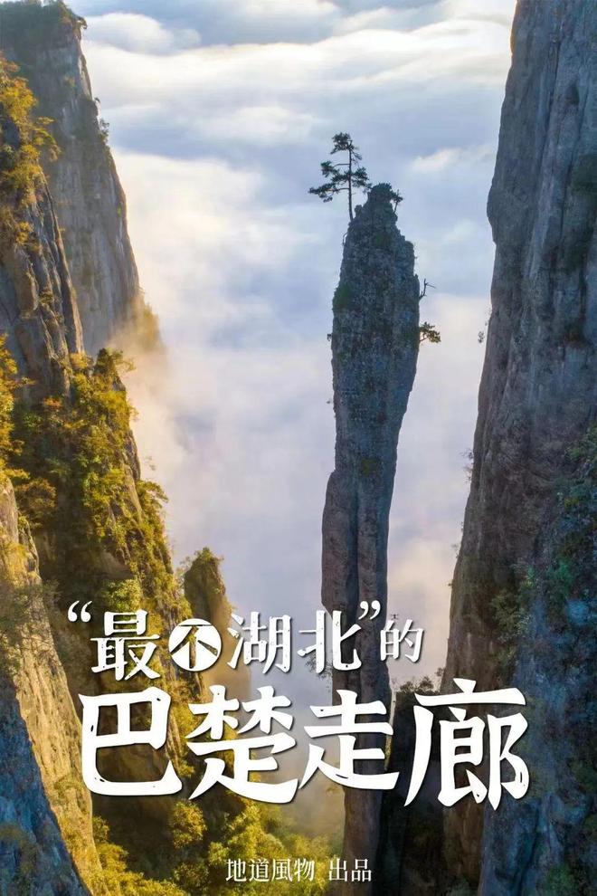 2024年中国哪些地方最值得去？(图10)