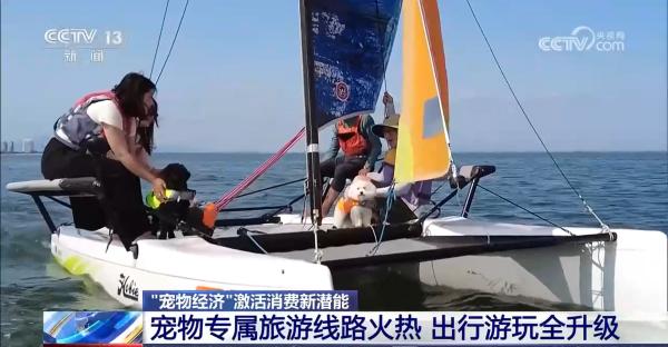 @爱宠人士出行游玩全升级快来开启“携宠出行”新体验(图1)