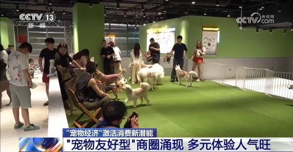 @爱宠人士出行游玩全升级快来开启“携宠出行”新体验(图3)
