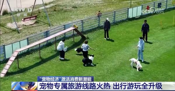 @爱宠人士出行游玩全升级快来开启“携宠出行”新体验(图2)