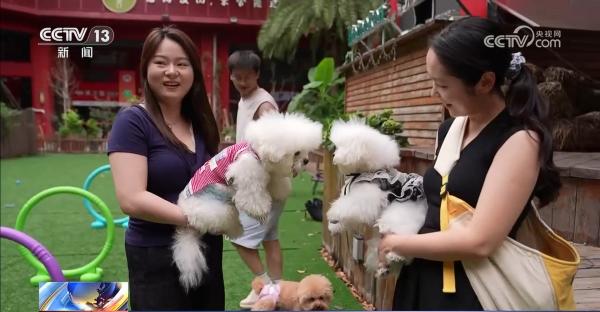 @爱宠人士出行游玩全升级快来开启“携宠出行”新体验(图6)