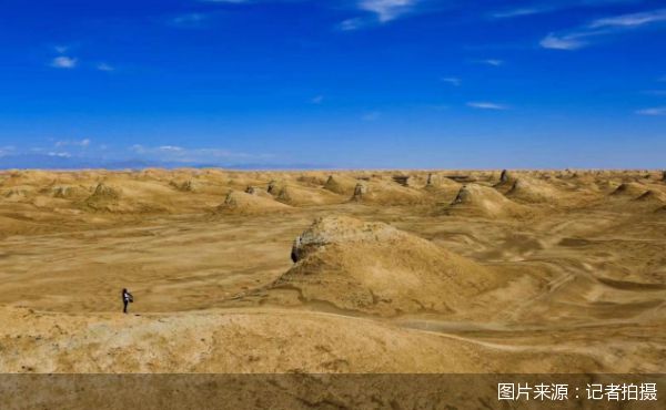 2025年暑期境内游前瞻：北京领跑热门目的地亲子订单占比超四成(图3)