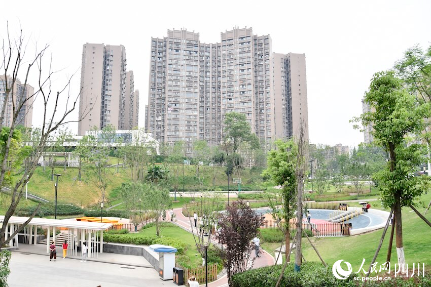 一线调研行｜线上听民声、线下解民忧四川自贡变群众所盼为群众所赞(图5)
