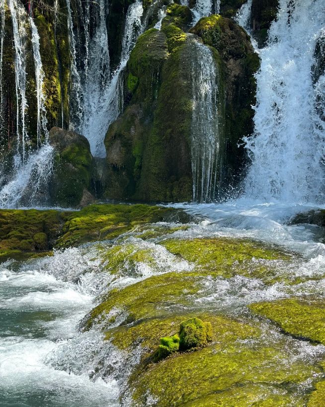 第一次去四川旅游纯玩五天四晚路线天详细花销(图2)