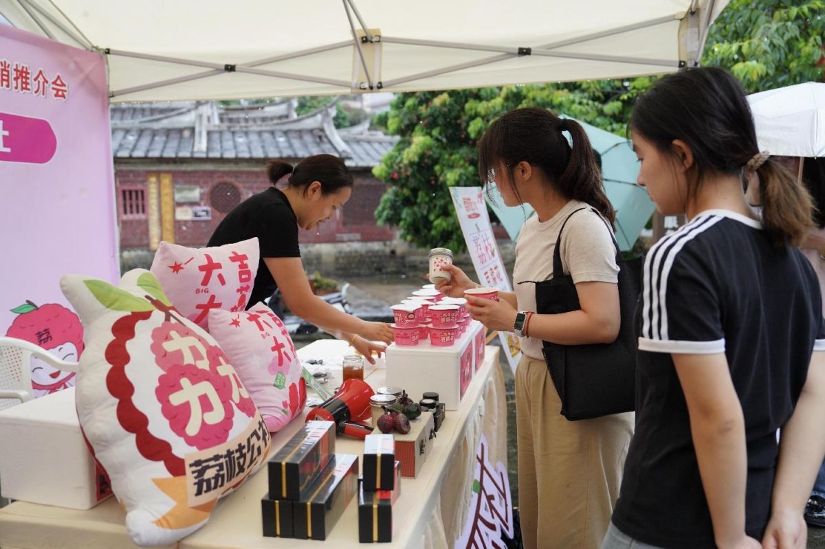 农文旅融合促振兴第十三届岵山荔枝文化旅游暨产销推介会开幕(图2)