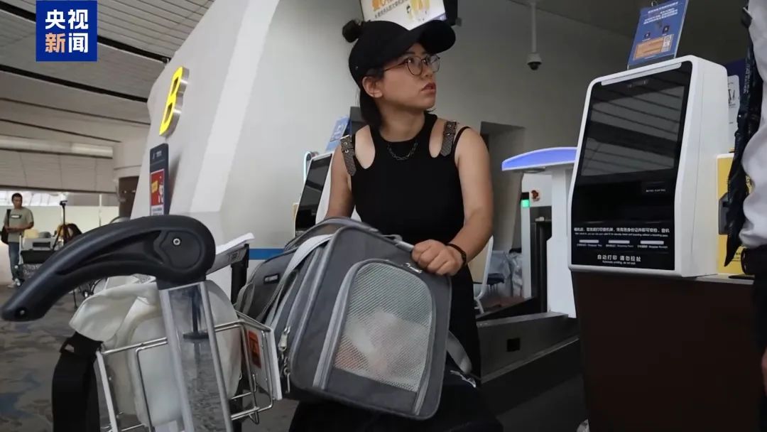 带着宠物去旅游！出行攻略来了→(图2)