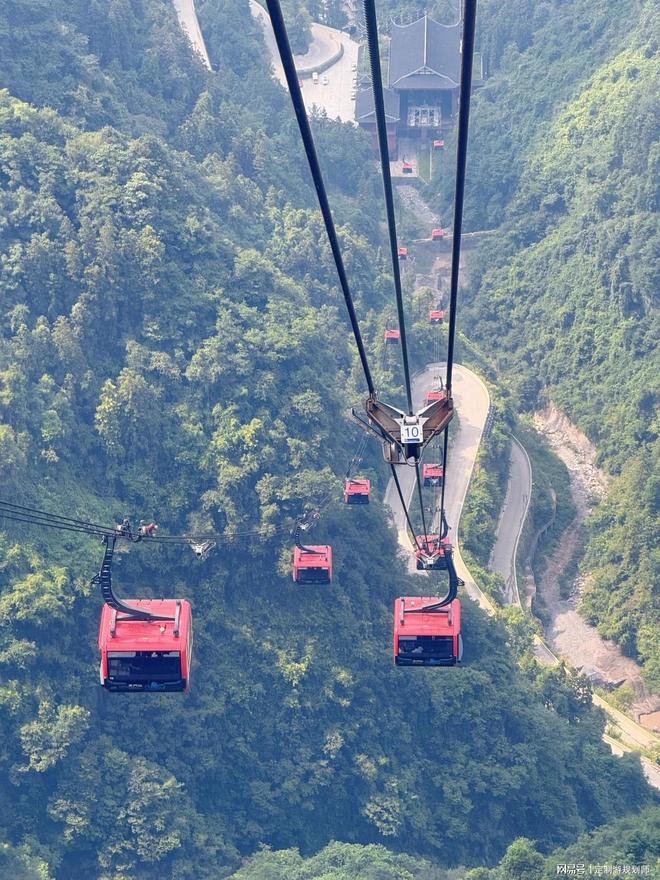 2025年最新张家界旅游攻略暑假去张家界就这么玩！(图2)